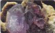 Namibia, NMB-166,  Gemstones, Amethyst, 2 Scans. - Namibia