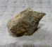 Z11 / PIERRE MINERALE 4 X 1.8 X 1.6 Cm Environ 20 Gr - Minéraux