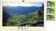 INDONESIA  BALI  Lush Ricefields In East-Bali  Nice Stamps  Medical Theme - Indonesia