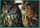 24 Chateau Des Milandes Hibou Grand Duc - Oiseaux