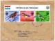 PARAGUAY 1985 - Registered Air Cover From Asuncion To Buenos Aires, Argentina. Birds, Audubon, Costume, Aircraft. - Paraguay