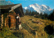 Alpenhorn, Wengen, BE Bern, Switzerland Postcard Posted 1966 Stamp - Bern