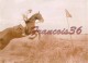 Photographie De 1907 à BIARRITZ : Course Hippique - équitation Saut D'obstacle Cheval Horse Race - Sport