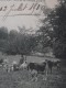 SERAINCOURT (Val-d'Oise) - MEULAN-GAILLONNET - L'Heure De La Traite Aux Prés De La Ferme Jeanne - Animée-12 Juillet 1910 - Seraincourt