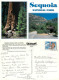 Sequoia National Park, California, United States US Postcard Posted 1998 Stamp - Autres & Non Classés