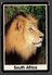 SOUTH AFRICA LION LEONE FG NV SEE 2 SCANS - Leoni