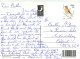 Ballymastocker Bay, Portsalon, Donegal, Ireland Postcard Posted 2002 Stamp - Donegal