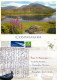 Connemara, Galway, Ireland Postcard Posted 2007 Stamp - Otros & Sin Clasificación