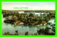 THOUSAND ISLANDS, ONTARIO - ST LAWRENCE RIVER - ANIMATED - STEDMAN BROS LTD - - Thousand Islands