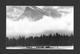 ANIMAUX - ANIMALS - MOUNT RUNDLE TOWERS ABOVE A HERD OF ELK IN BANFF NATIONAL PARK -TROUPEAU DE ELK - PHOTO VALERIE MAY - Autres & Non Classés