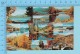 Greetings From - Lake Placid  , Multiview   - New York USA - 2 Scans - Souvenir De...