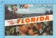 Hello From - Florida, Multiview -  USA - 2 Scans - Souvenir De...