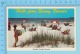 Hello From - Sunny Florida Colorful Beaches - Florida  USA - 2 Scans - Souvenir De...