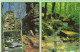 LUSSEMBURGO - LUXEMBOURG - 2001 - 21F Ceca 1951-2001 + Flamme - Petite Suisse Luxembourgeoise - Multivues - Viaggiata... - Echternach