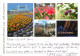 Gunma Flower Park, Maebashishi, Japan Postcard Posted 2009 Stamp - Altri & Non Classificati