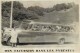 MON EXCURSION DANS LES PYRÉNÉES - Autocar En Août 1954 (photo Format 17x11,5cm) - Automobiles