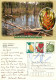 Amazon, Manaus, Brazil Postcard Posted 2001 Stamp - Manaus