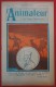 L'animateur Des Temps Nouveaux - 4ème Année N°175, 12 Juillet 1929; Illustré Par Boirau - 1900 - 1949