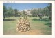 Italy, SCIACCA, (Sicilia), Hotel Lipari, Used Postcard [18987] - Other & Unclassified