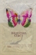 ITALIA : Sachet De Sucre/Sugar Package : VLINDER,PAPILLON,BUTTERFLY,   ## Papilio Machaon ## ## Vanessa Io ## - Sucres