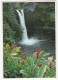 Rainbow Falls Near Hilo , Home Of The Mythical Goddess Hina  - ( Hawaii - USA) - Hilo