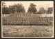 PHOTO ORIGINALE GUERRE CALAIS 1940 GROUPE DE SOLDATS ET OFFICIERS ALLEMANDS - LIRE TEXTE AU DOS - ZOOM 4 Scans  - - Guerre, Militaire