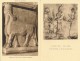 Delcampe - Lot De 56 CPA Cartes Du Louvre Egypte / Grèce  Musées Divers Antiquités - Museum