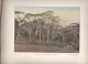 Delcampe - NOUVELLE CALEDONIE  - 8 AQUARELLES - Fascicule LXVII COMPLET -  AUTOUR DU MONDE - SITES - MOEURS ET USAGES - 1801-1900