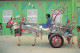 Asie-DONKEY Cart Popular Interior Or Loaning In Sind And Provinces Of  PAKISTAN (âne) (Venus Ageny 255) *PRIX FIXE - Pakistan