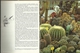 126 CACTUSSEN EN VETPLANTEN IN KLEUR - WIM OUDSHOORN - Reeks GROENBOEKERIJ - Encyclopedia