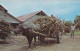 Sugar Ox Cart , TOBAGO , W. I. , 50-60s - Trinidad