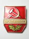 Soviet Union POLICE Assistant Militia USSR Insignia Badge MVD MIA Voluntary National Teams - Police