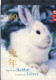 Canada China Hongkong 1999 ** Chinese New Year - Year Of The Rabbit / Chinesisches Neujahr - Jahr Des Hasen - Anno Nuovo Cinese