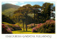 Muckross Gardens, Killarney, Kerry, Ireland Postcard Posted 2004 Stamp - Kerry