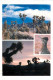 Joshua Tree National Park, California, United States US Postcard Posted 2007 Stamp - Autres & Non Classés