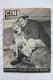 Old Movie/ Cinema Magazine From 1953, Cover: Amadeo Nazzari, Back Cover: Arlene Dahl - Revistas