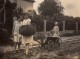 Photo Originale Jeu & Jouet - Charrette D'enfants Habituellement Tirée Par Un Chien, Mais Tirée Par Leur Mère Vers 1920/ - Non Classés