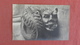 England > Lincolnshire > Lincoln-- RPPC-- Gargoyle Ref  2367 - Lincoln