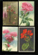 Delcampe - Beau Lot De 60 Cartes Postales De Fantaisie Fleurs  Fleur   Mooi Lot Van 60 Postkaarten Van Fantasie  Bloemen  Bloem - 5 - 99 Postkaarten