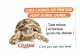 Cpm Publicité Magasin SUPERMARCHES CASINO - 2000 - Tortue Turtle - Tartarughe