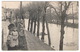 NIORT  La Crue De La Sèvre 11 Février 1904 - Niort