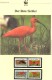 WWF-Set 101 Rotsichler TRINIDAD 596/9 **/FDC/MC 77€ Naturschutz Dokumentation 1990 Wildlife Birds Stamps Fauna Of TOBAGO - Flamants
