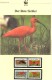 WWF-Set 101 Rotsichler TRINIDAD 596/9 **/FDC/MC 77€ Naturschutz Dokumentation 1990 Wildlife Birds Stamps Fauna Of TOBAGO - Flamingo