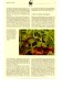 Amphibien WWF-Set 85 CSSR 3007/0 ** 5€ Naturschutz Unke Molch Dokumentation 1989 Wildlife Stamps Of Tschechoslowakei/CSR - Unused Stamps