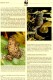 Delcampe - CSR WWF-Set 85 Amphibien Tschechoslowakei 3007/0 **/FDC/MC 29€ Naturschutz Molch Dokumentation 1989 Fauna Stamps Of CSSR - Colecciones & Series