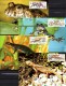 Delcampe - CSR WWF-Set 85 Amphibien Tschechoslowakei 3007/0 **/FDC/MC 29€ Naturschutz Molch Dokumentation 1989 Fauna Stamps Of CSSR - Verzamelingen & Reeksen