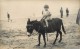 SCÈNE DE PLAGE - Promenade Avec âne.(carte Photo). - Anes