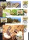 Schwanz-Leguan WWF-Set 42 Turks+Caicos 777/0 **/FDC/MKt.107€ Naturschutz Dokumentation 1986 Wildlife Fauna Stamp America - Briefe U. Dokumente