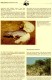 Schwanzleguane WWF-Set 42 Turks&Caicos 777/0 O 15€ Naturschutz Leguane Dokumentation 1986 Wild-life Fauna Stamps America - Gebruikt