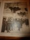 1915 LPDF: Mulets Et Traîneaux Chasseurs Alpins En Alsace; ZEPPELIN Descriptif+++;INDIAN CAVALRY+++;Espionnage Allemand - Autres & Non Classés